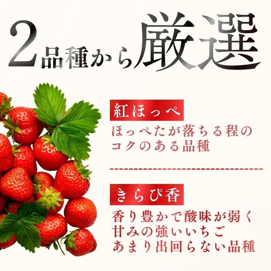 【先行予約_2027年発送】地元JA品評会金賞受賞　冷凍イチゴ4Kg　【 フローズン ストロベリー スムージー 苺 いちご  】 
