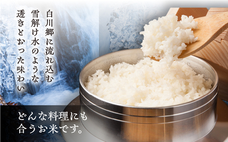 お試し 白川郷 こしひかり 450g 3合 メール便 ポスト投函 白川村産 コシヒカリ 常温 こめ コメ 新生活 応援 こだわりの お米 おこめ 精米 ごはん ご飯 アウトドア キャンプ グランピング 岐阜県 飛騨 高山米穀 3000円[S698]