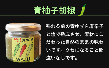 国産 唐辛子 4種セットA（青柚子胡椒／一味(鷹の爪)／青唐辛子味噌／にんにく味噌） / 調味料 スパイス 唐辛子 綾部市 / WAZUファーム［BSAF001］