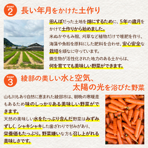 無農薬 季節の野菜セットS（約2kg） / 野菜 詰め合わせ 産地直送 綾部市 / ともときファーム丹波［BSBG008］