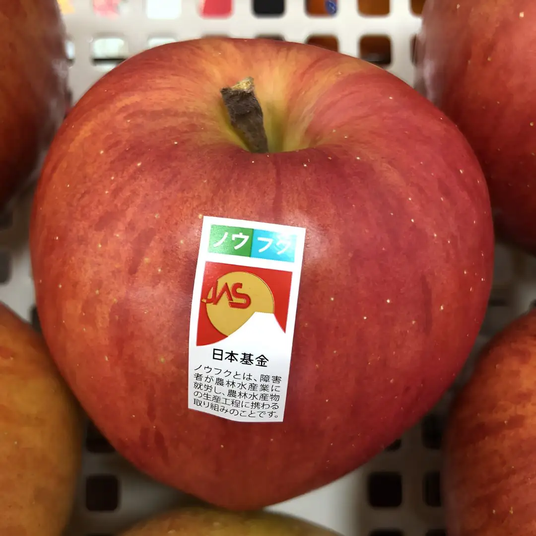 WF08　ノウフクサンふじ 贈答 約5kg / 2026年11月下旬～12月下旬ごろ配送予定//長野県 南信州 松川町産 JAS認証 りんご リンゴ 林檎 ノウフク 農福連携 サンふじ ふじ 贈答