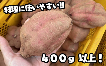 数量限定 中園ファーム 種子島 安納いも 規格外 特大サイズ　9kg　NFN476【350pt】