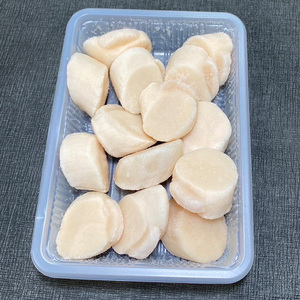 厚切り紅鮭一尾 18切れ＆訳ありホタテ200g×4 セット 北海道 釧路 ふるさと納税 鮭 紅鮭 サケ さけ 切身 帆立 ほたて 冷凍 甘塩 魚 魚介 海鮮 海産物 F4F-8856