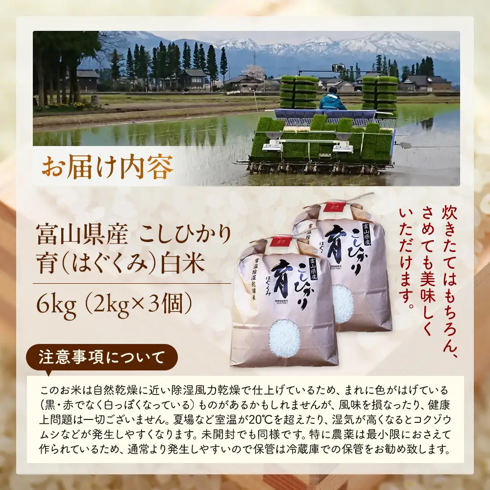 【令和7年産】富山県産こしひかり　育（はぐくみ）白米３個セット 2kg×3個 《南砺の逸品》