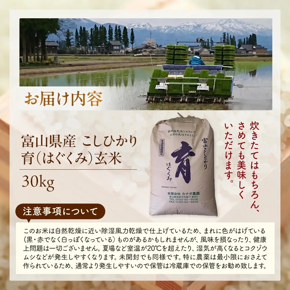 【令和7年産】富山県産こしひかり　育（はぐくみ）玄米３０kg《南砺の逸品》