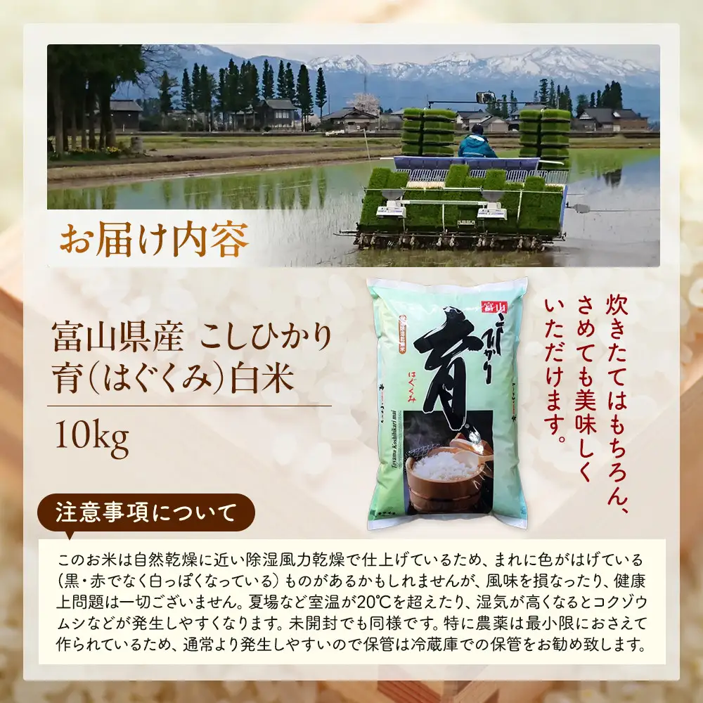 【令和7年産】富山県産こしひかり　育（はぐくみ）白米１０kg《南砺の逸品》