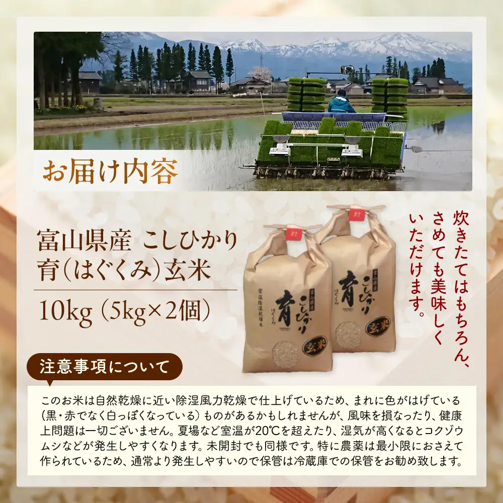 【令和7年産】富山県産こしひかり　育（はぐくみ）玄米　5キロ×２個セット《南砺の逸品》
