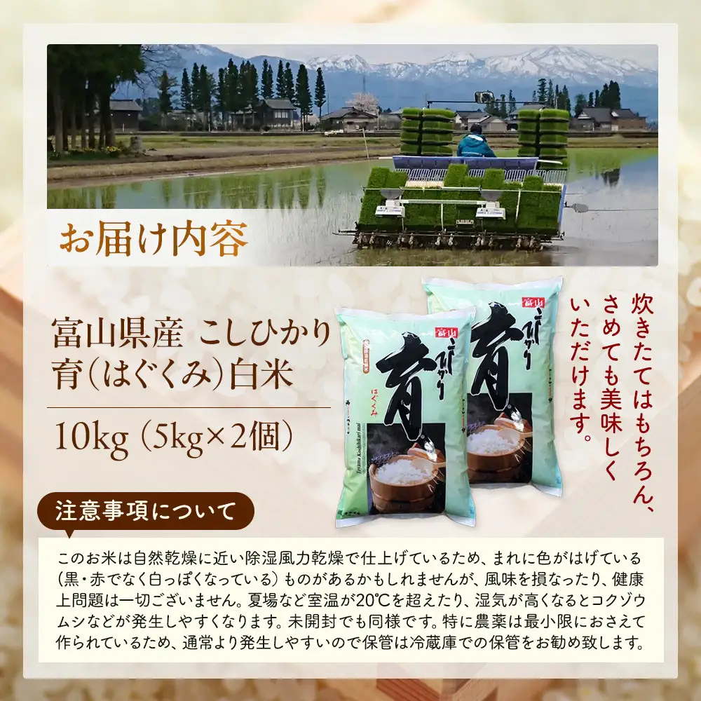 【令和7年産】富山県産こしひかり　育（はぐくみ）白米　5キロ×２個セット《南砺の逸品》