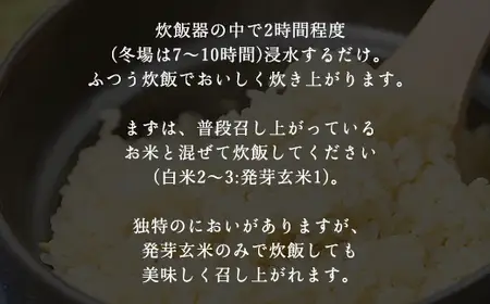 ＼12か月 定期便／木村さんの炊飯器で発芽する発芽玄米 3合×６袋×12か月【1月開始】 AS2KEA1