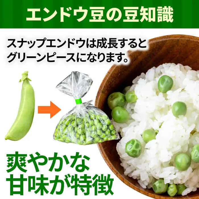 【2027年1月-発送】スナップエンドウ　サイズ違い　食べ比べセット　100g × 5袋 / 小分け / 南島原市 [SFL001]