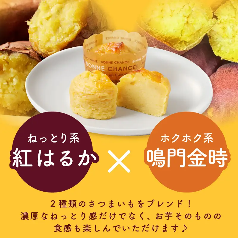 芋匠さのや 大人気セット（濃厚スイートポテト 12個／芋けんぴ）