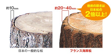 コレステロール DHC 対策 コレステロール【30日分×2個 計60日分】【機能性表示食品】