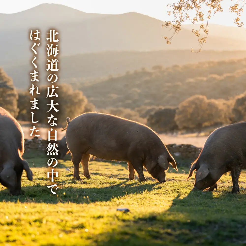 ポークジャーキー1パック《ロイヤルストレートフラッシュポーク》_Y020-0641