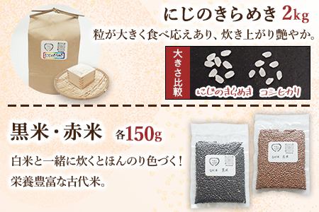 ＜古代米も入った！やまこのうえんのお米 4種類食べ比べセット 合計5.3kg＞ お米 コメ ご飯 ライス 穀物 こしひかり コシヒカリ にじのきらめき 古代米 黒米 赤米 食べ比べ 特産品 やまこのうえん 愛媛県 西予市【常温】『2025年9月上旬より順次出荷予定』UYN0001