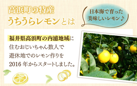 【先行予約】日本海で育ったうちうらレモン「リスボン2.5kg」皮まで丸ごと食べられます！【2026年12月下旬より順次発送】