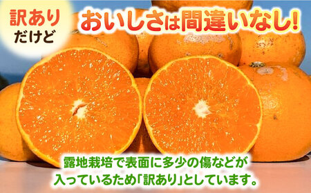 【2027年2月中旬以降発送】【訳あり】せとか 計3kg（2.6kg＋400g傷み保証分） S-3Lサイズ / みかん 太良町 せとか / 佐賀県 [41ATBT010]