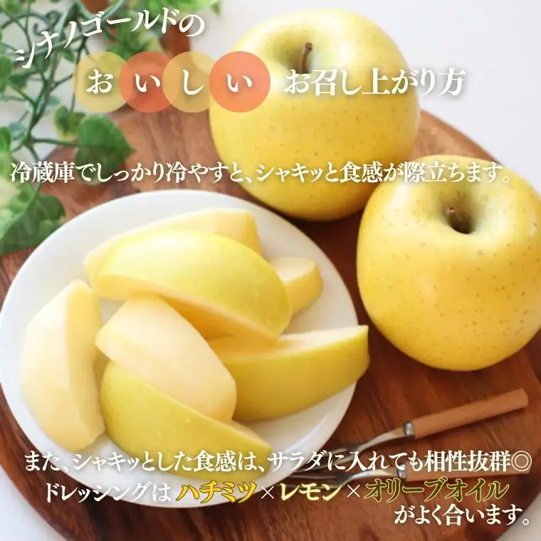 MS12 りんご シナノゴールド （長野県産秀品） 約5kg / 2026年10月下旬～11月下旬頃 配送予定 // 長野県 南信州 リンゴ 林檎 贈答 黄色りんご シナノゴールド