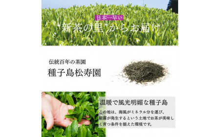 【たねがしまる4000】 種子島 松寿園 香る 紅茶 フレーバーティー 「 たんかん と 紅茶 」1袋　NFN926【100pt】