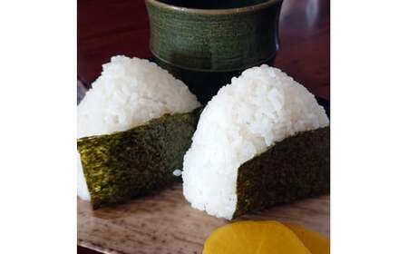 [令和6年度産] 栃木県上三川町産コシヒカリ・白米20kg（5kg×4袋）◆ | 国産 栃木県産 コシヒカリ 米 お米 単一原料米 精米 白米 栃木米 とちぎ米 産地直送 送料無料　※離島への配送不可
