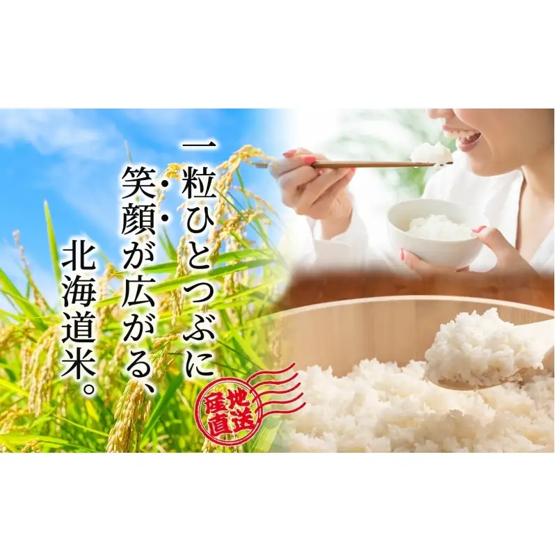 米 白米 精米 令和8年産 5kg 北海道米 北海道産 米