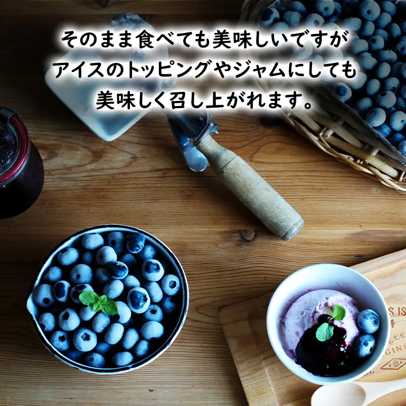 【先行予約】生 ブルーベリー 計1.6kg(400g×4パック) 池田農園