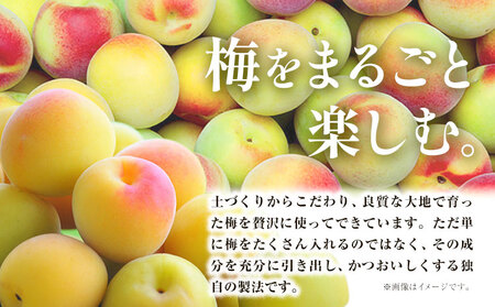 CHOYA 酔わない ウメッシュ ノンアルコール 350ml × 24本