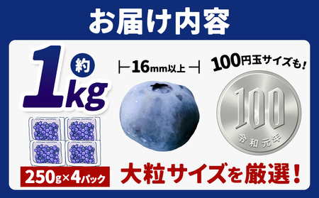 ブルーベリー 大粒 1kg ベリーの宝石箱