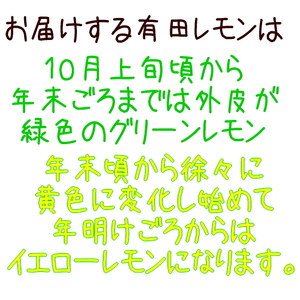 紀州和歌山 ご家庭用 有田 レモン 5kg+200g(痛み補償分)【防腐剤・ワックス不使用】【農家直送】【訳あり】 ※着日指定不可 ※10月中旬～2月下旬頃に順次発送【ard190A】