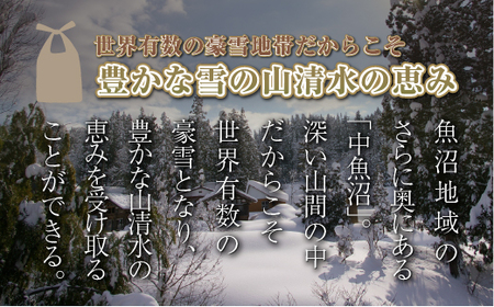 【定期便／全3回】無洗米5kg 新潟県魚沼産コシヒカリ「山清水米」 