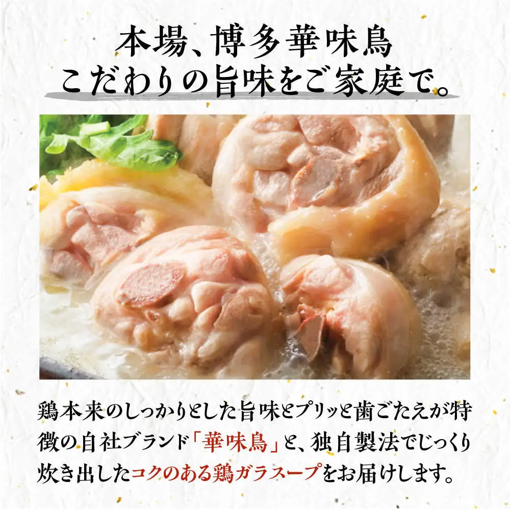 博多華味鳥 水炊き 6-8人前 VAC001 水炊き