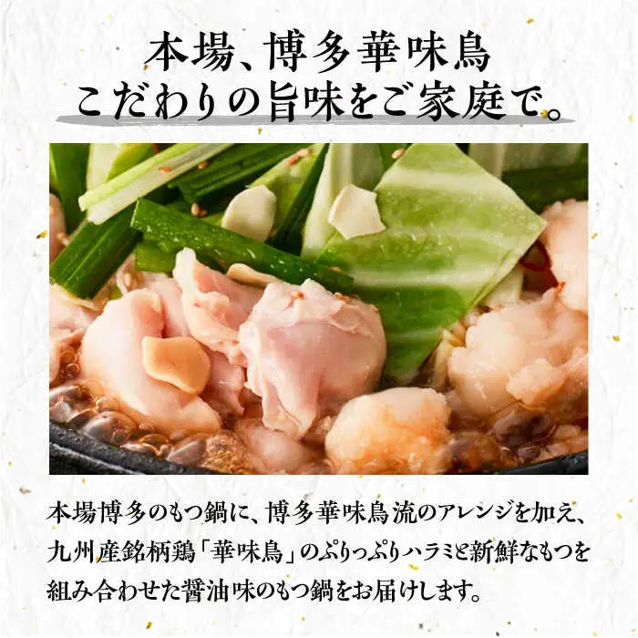【全6回定期便】博多華味鳥 博多もつ鍋 鶏はらみ セット 3~4人前 [VAC016]博多 福岡 鍋 鶏 もつ もつ鍋