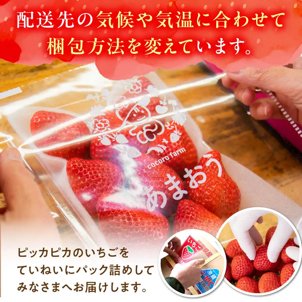 【先行予約】ココロファームの濃厚あまおう 270g×2P VAE007 いちご あまおう