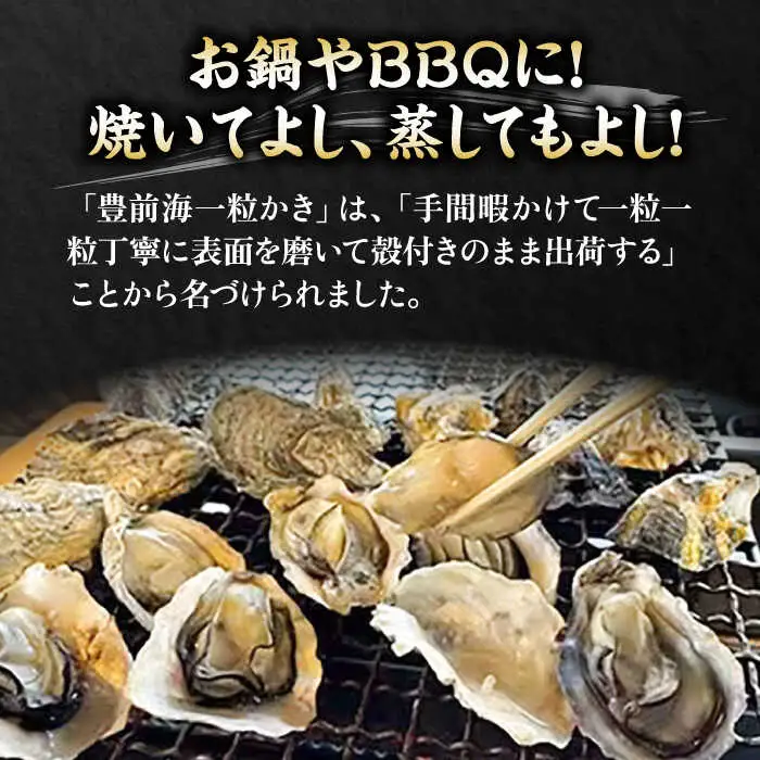 【先行予約】豊前海一粒牡蠣 3kg 牡蠣 VAG007
