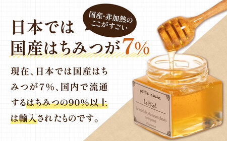 はちみつ 里山 120g ＆ 田園 120g VAR004 天然 非加熱 純粋 はちみつ 蜂蜜