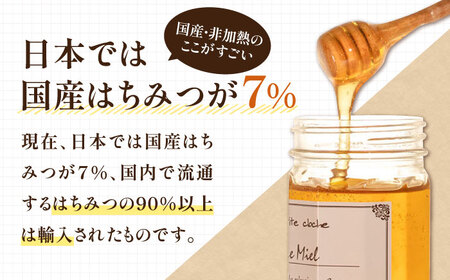 はちみつ 里山 450g VAR005 天然 非加熱 純粋 生 はちみつ 蜂蜜