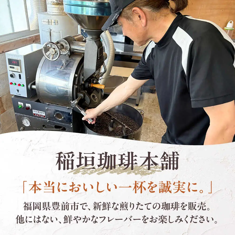 【全12回定期便】ブルーマウンテン NO.1 コーヒー ( 浅煎り ) [VAS151] 珈琲 コーヒー 