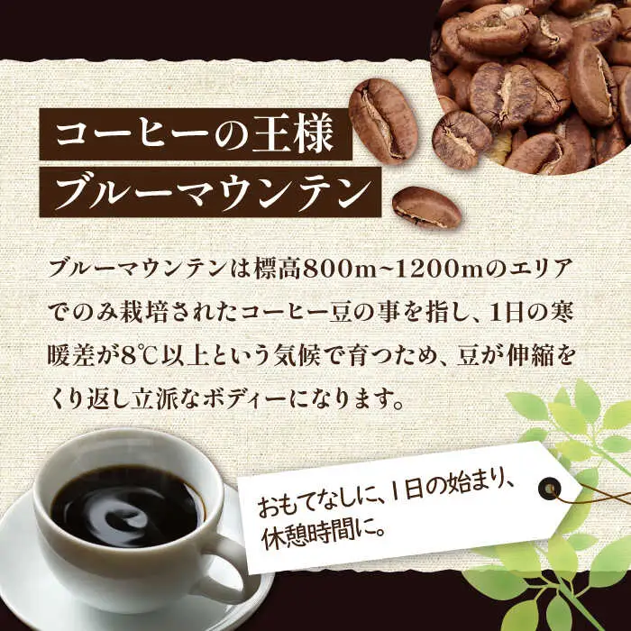 【全3回定期便】ブルーマウンテン NO.1 ブレンド コーヒー ( 浅煎り )[VAS167] 珈琲 コーヒー 