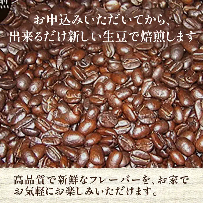 【全6回定期便】極上 アイス ブレンド コーヒー 450g×2 ( 深煎り )[VAS186]珈琲 コーヒー 