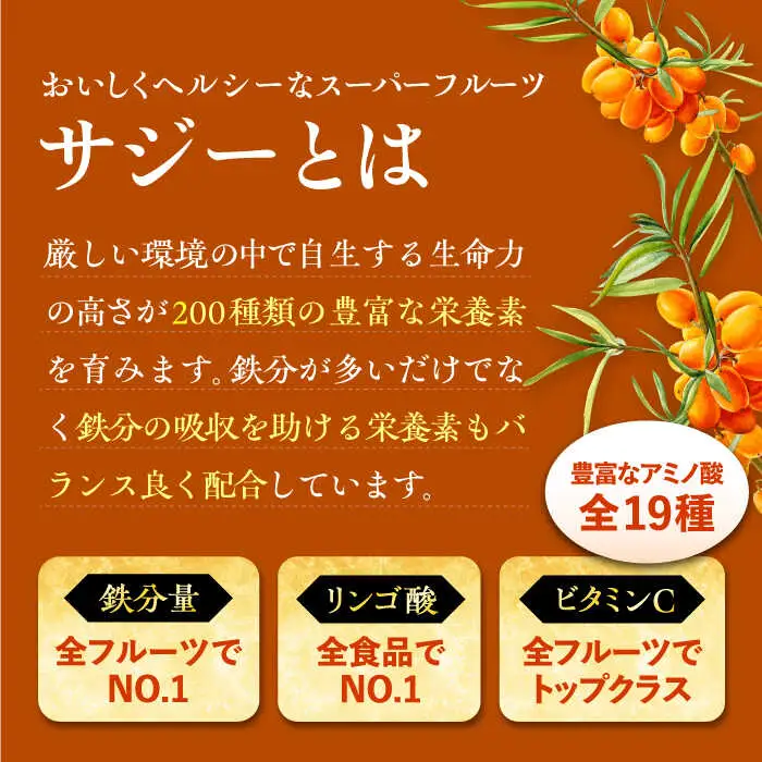 話題の サジー 飲み比べセット 2種×各1本( すっきり美味しいサジー / SajiOneオーガニック )[VAX062]
