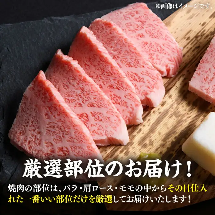 博多和牛 焼肉 500g [VBB002] 焼き肉 牛肉 焼肉用 小分け