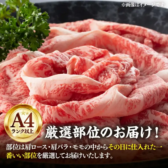 博多和牛 スライス 250g & 切り落とし500g [VBB007] 牛スライス 牛セット