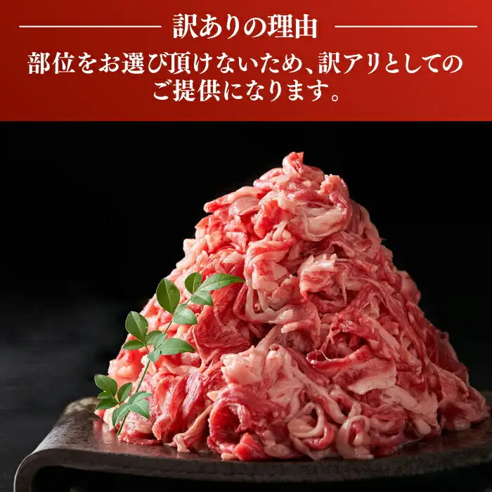 博多和牛 切り落とし 5kg [VBB026] 牛切り落とし 大容量