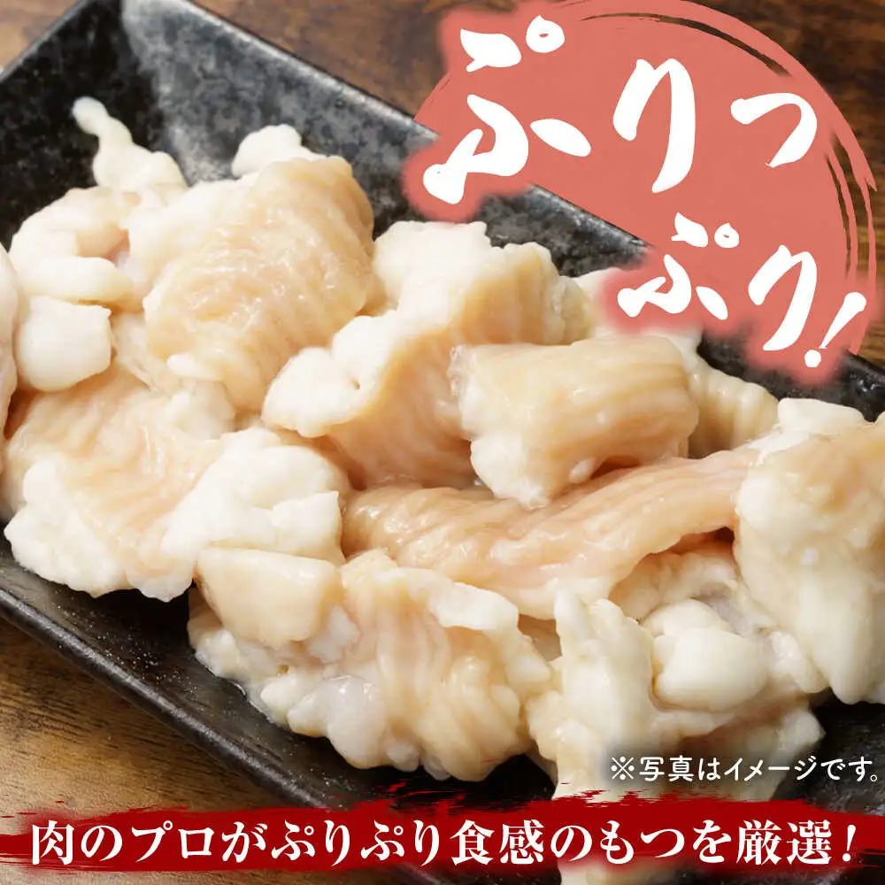 博多 醤油 もつ鍋 セット 3-4人前 [VBB033] 鍋ゼット モツナベ