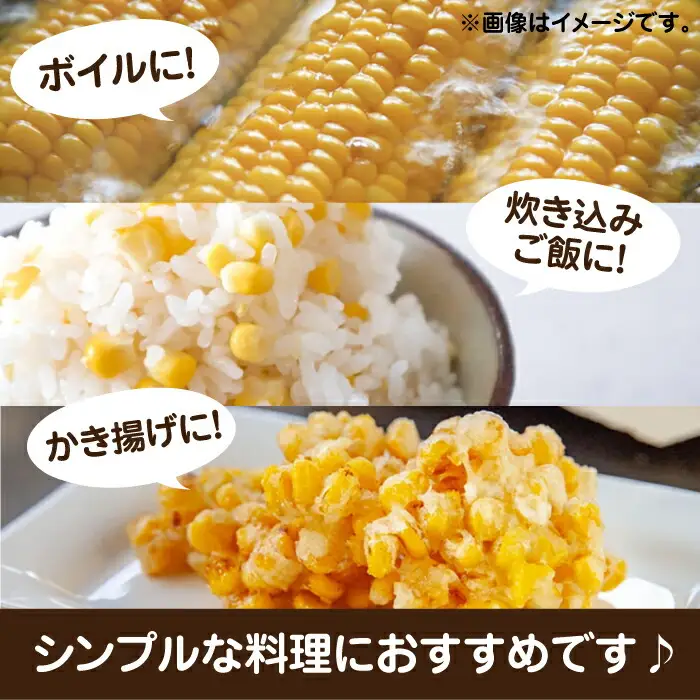 【先行予約】スイートコーン 約4kg 9-12本 VBC001 コーン とうもろこし
