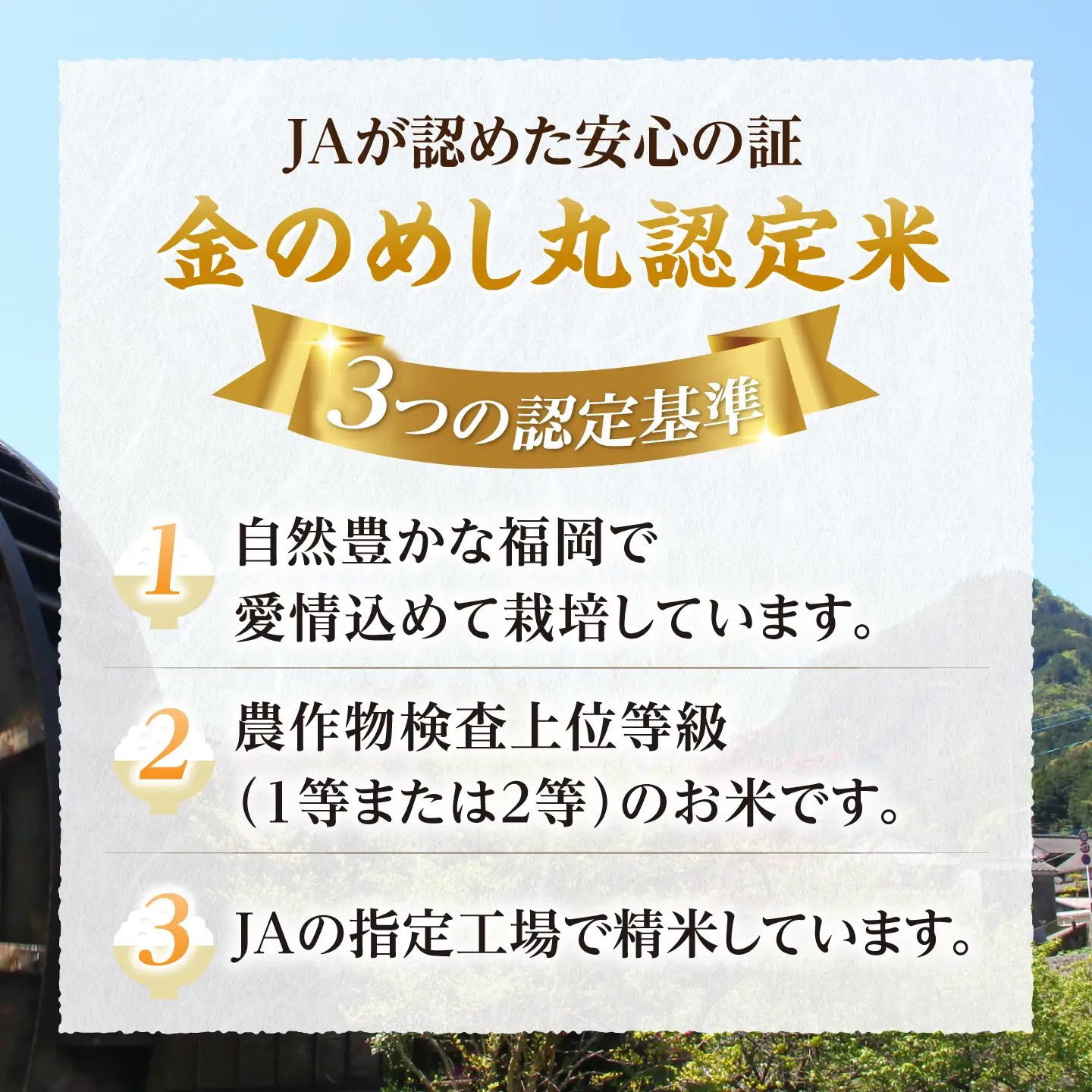 令和8年産 新米 夢つくし 10kg VBC003 新米