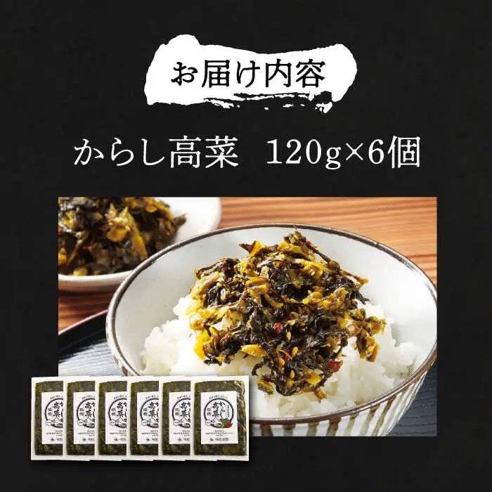 からし高菜120g×6個セット[VBG004]【株式会社瑞穂】