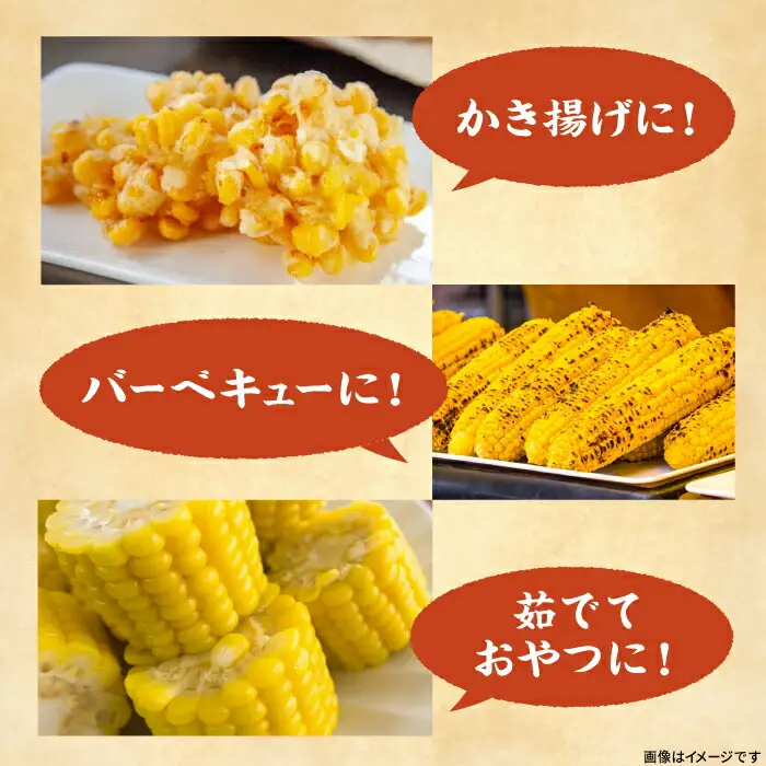 【先行予約】としちゃんのスイートコーン 約4kg 11-13本 [VBH001] スイートコーン