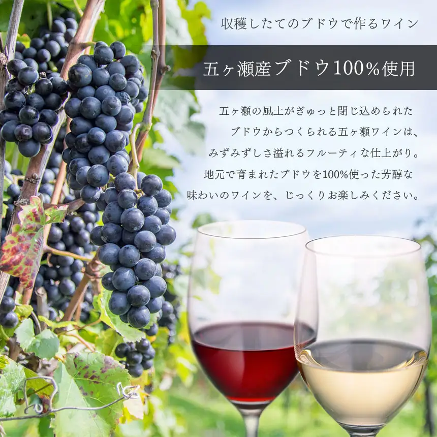 五ヶ瀬ワイン　飲み比べセット（白・甘口＆白・辛口）