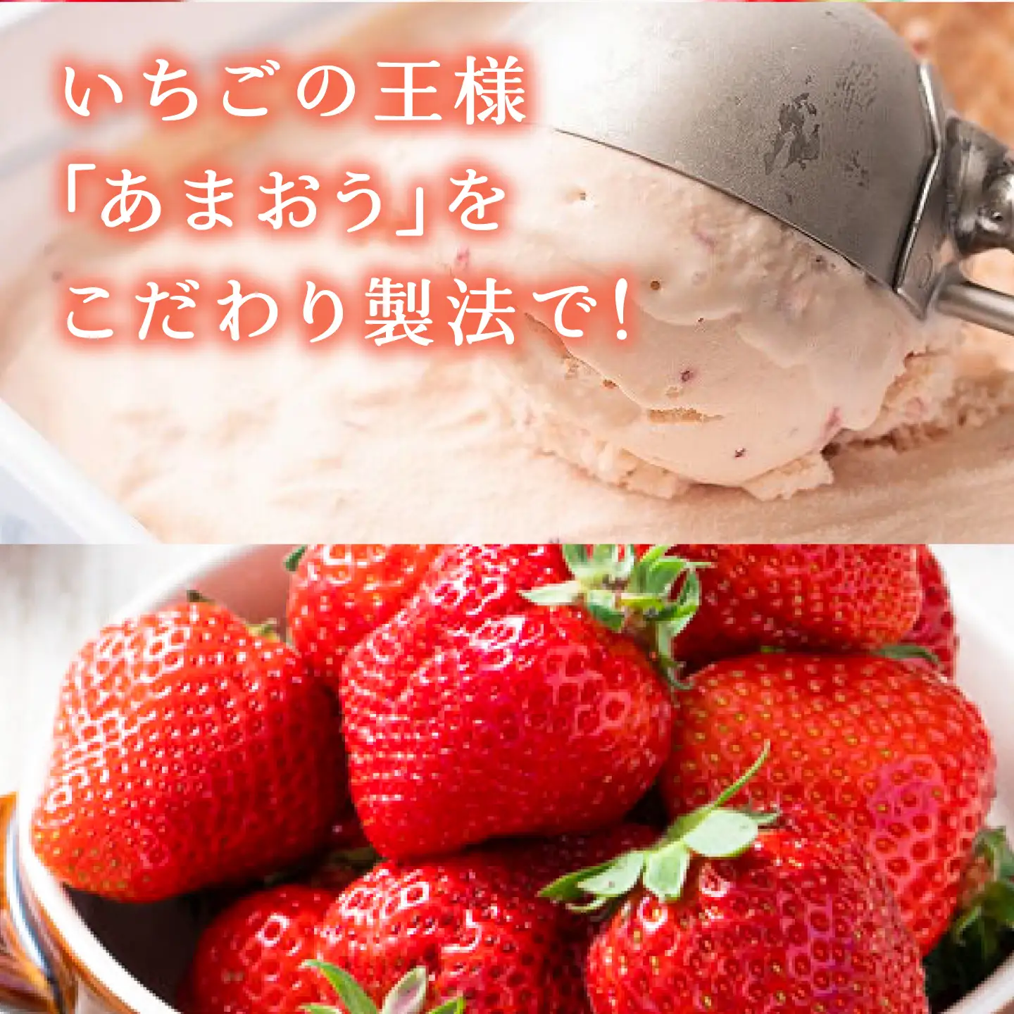 厳選あまおう ジェラート 100ml×6個 VBY002 アイス ジェラート あまおう