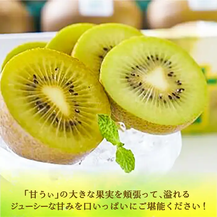 【先行予約】キウイ 約1.5kg 12-15玉 VBY004 キウイフルーツ